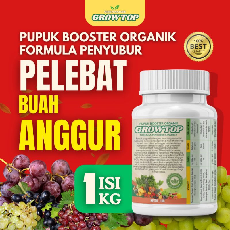 Pupuk Booster Organiak Anggur Cepat Berbuah / Pupuk Anggur Berbuah Besar Dan Manis / Pupuk Anggur