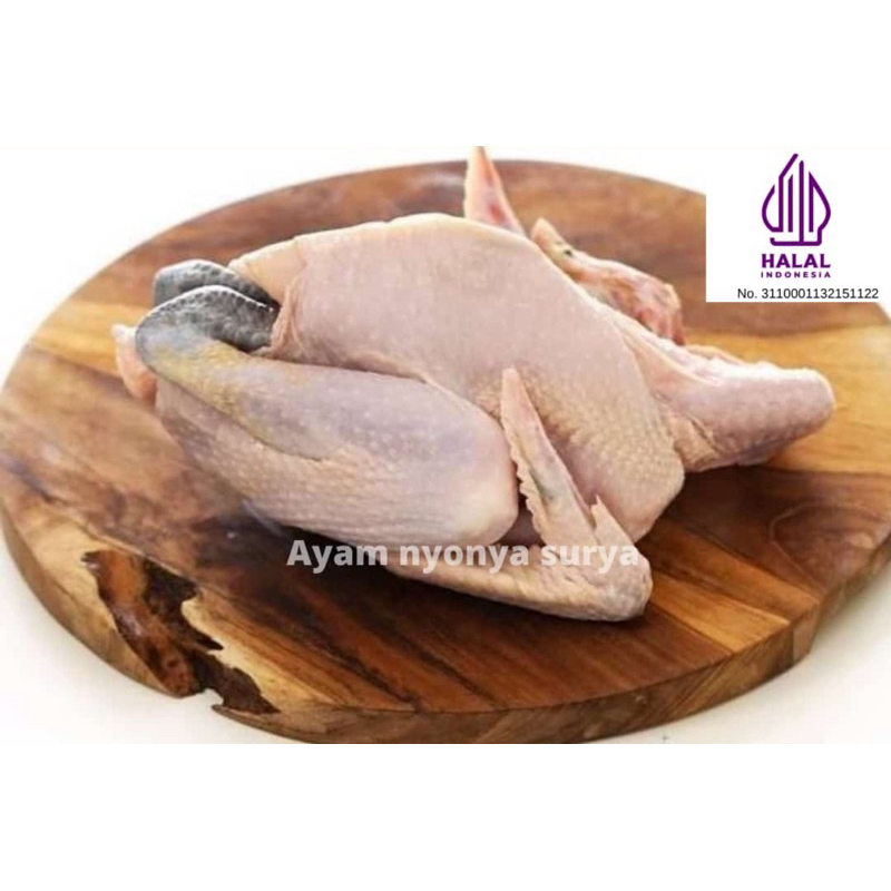 

1 Ekor Ayam Kampung Fresh