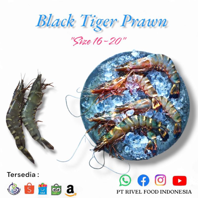 

Udang Tiger Prawn 16-20 ekor 1 Pack Fresh Frozen