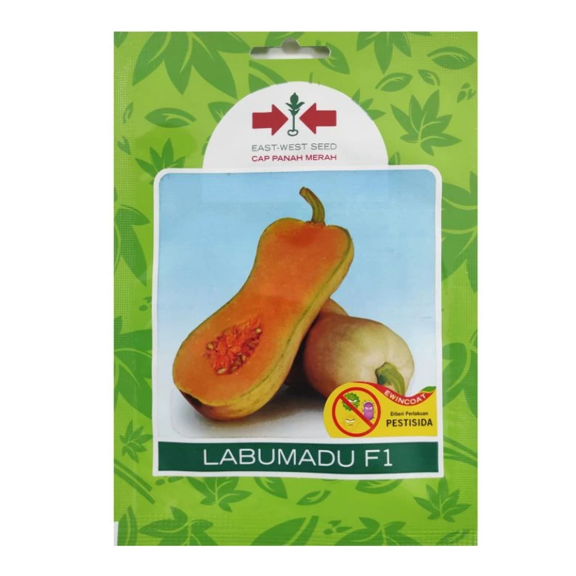 BENIH BIBIT LABU MADU F1