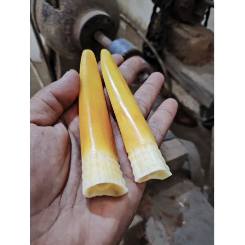 once pipa rokok tulang kaki kuda super padat panjang 13cm