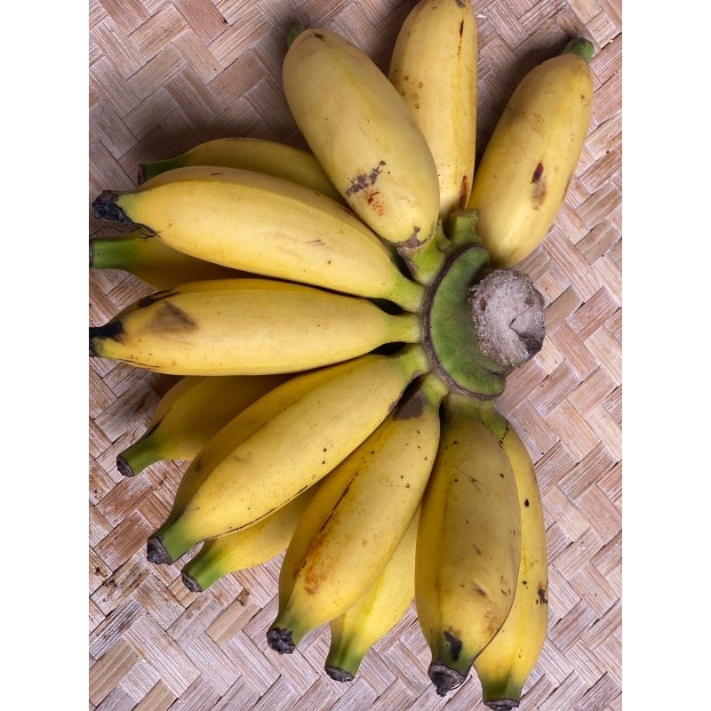 

Pisang muli pisang ambon pisang cau Lampung per kg