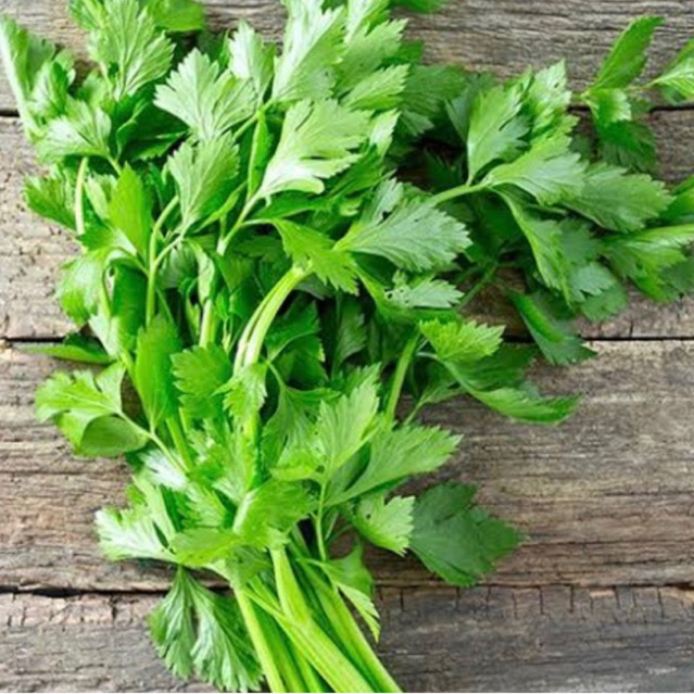 

SELEDRI SEGAR DAUN SELEDRI FRESH 50GRAM