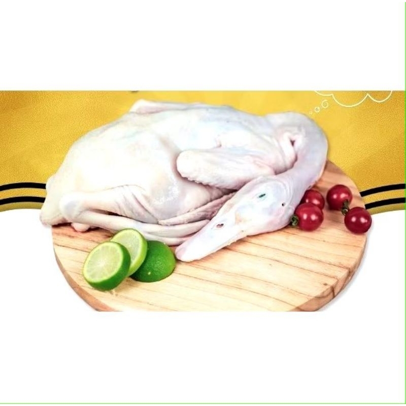 

Bebek Peking 1ekor