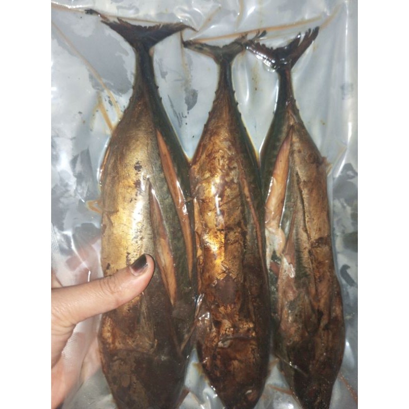 

tongkolutuhukuran4ons