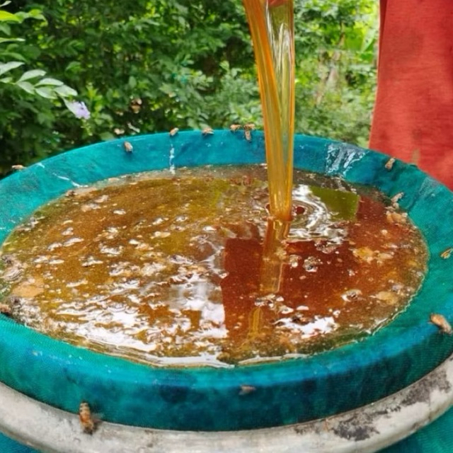 

Madu murni asli 100% full nekar raw honey