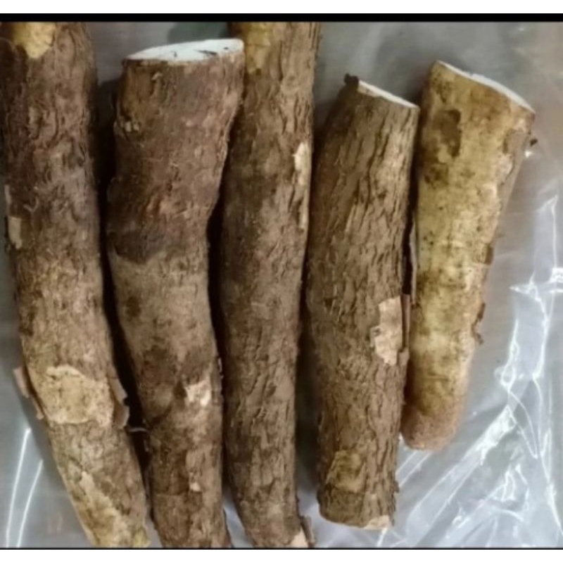 

singkong segar 1kg