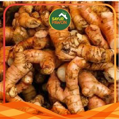 

LENGKUAS / LAOS 250 GRAM