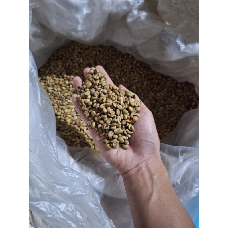 

GREEN BEANS KOPI EXELSA JAWA 1 KG
