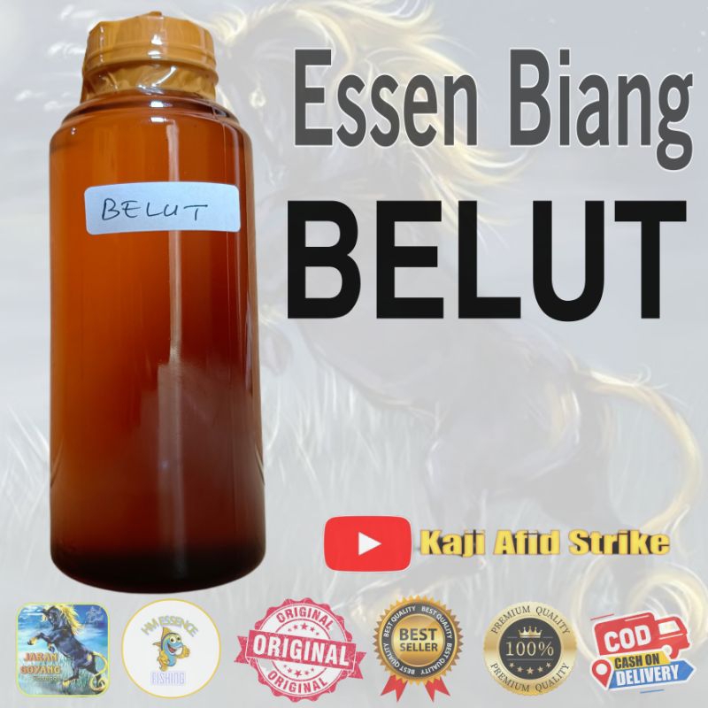 Essen Biang Amisan Belut