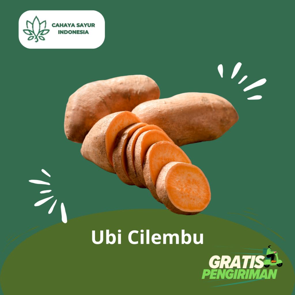 

Ubi Cilembu Madu 1kg + Gratis Ongkir