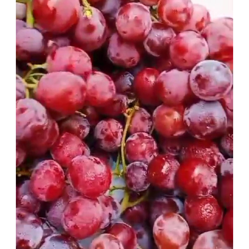 

red globe anggur merah 1kg manis