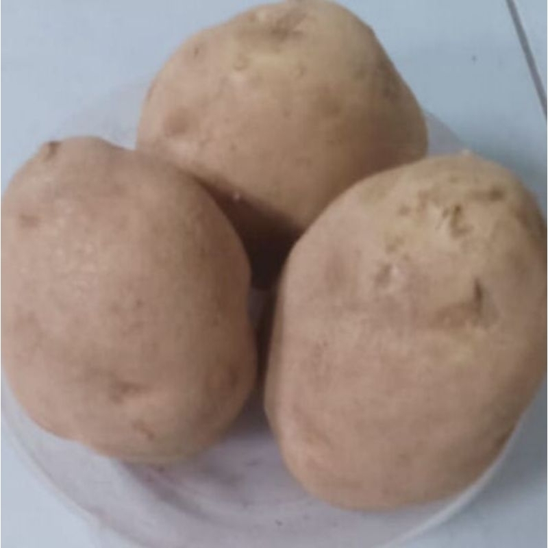 

Kentang dieng super jumbo 1kg