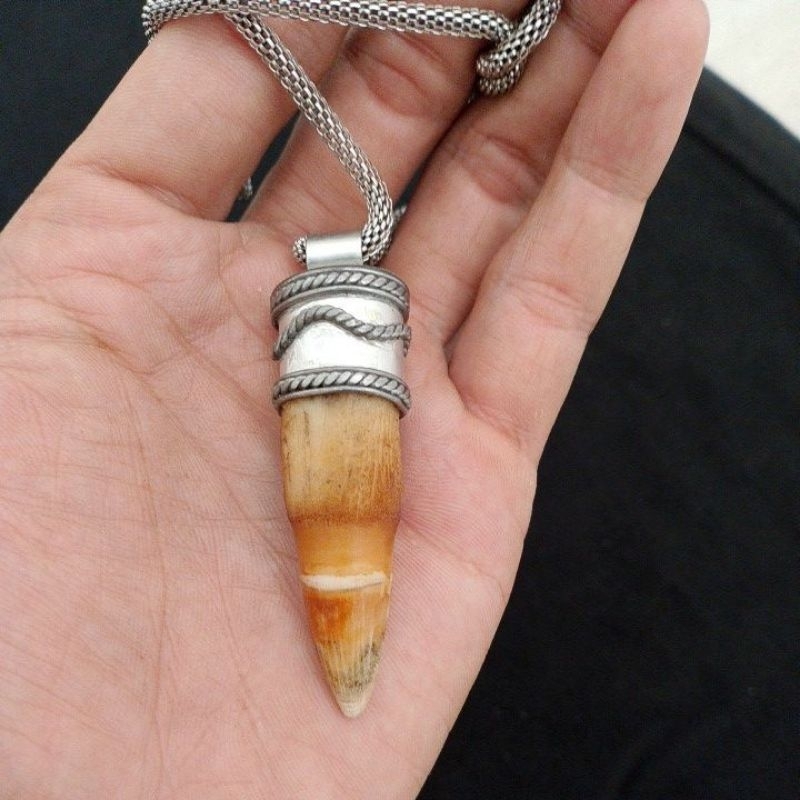 TARING MACAN ORIGINAL