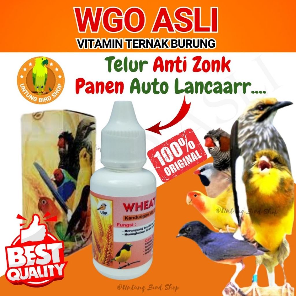 Vitamin Agar Lovebird Cepat Birahi WGO Asli