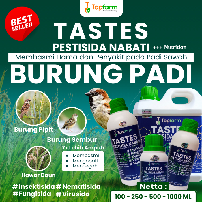 Obat Pembasmi Burung Pada Padi / Obat Semprot Padi Hama Burung / Obat Padi Hama Burung Pipit / Obat 