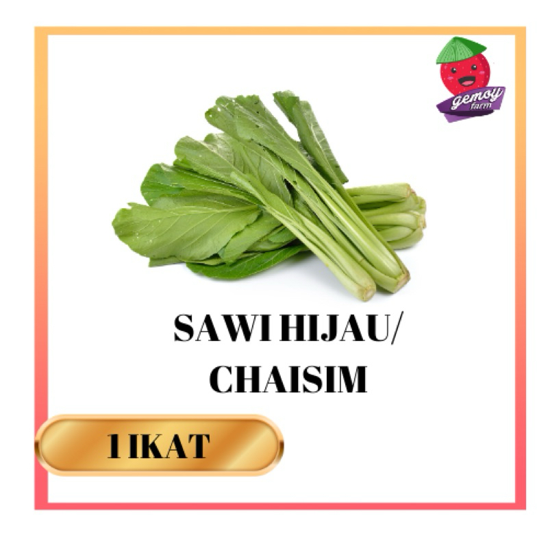 

Sawi Hijau/Chaisim