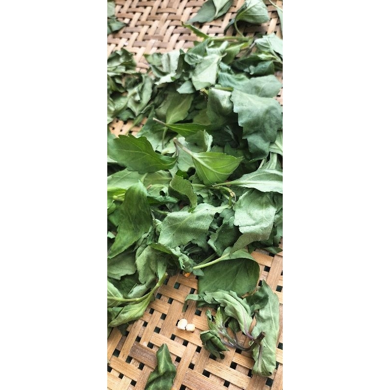 

jual daun kumis kucing segar 100 gram