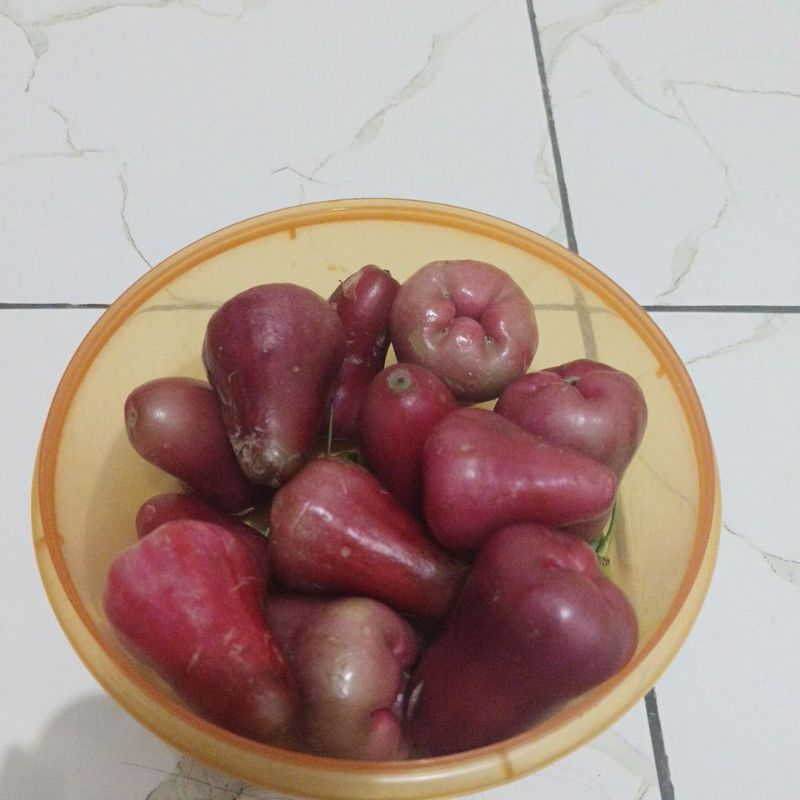 

jambu air