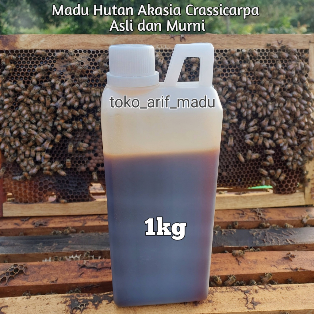 

MADU HUTAN RIAU 1Kg ( AKASIA CRASSICARPA) Asli dan Murni