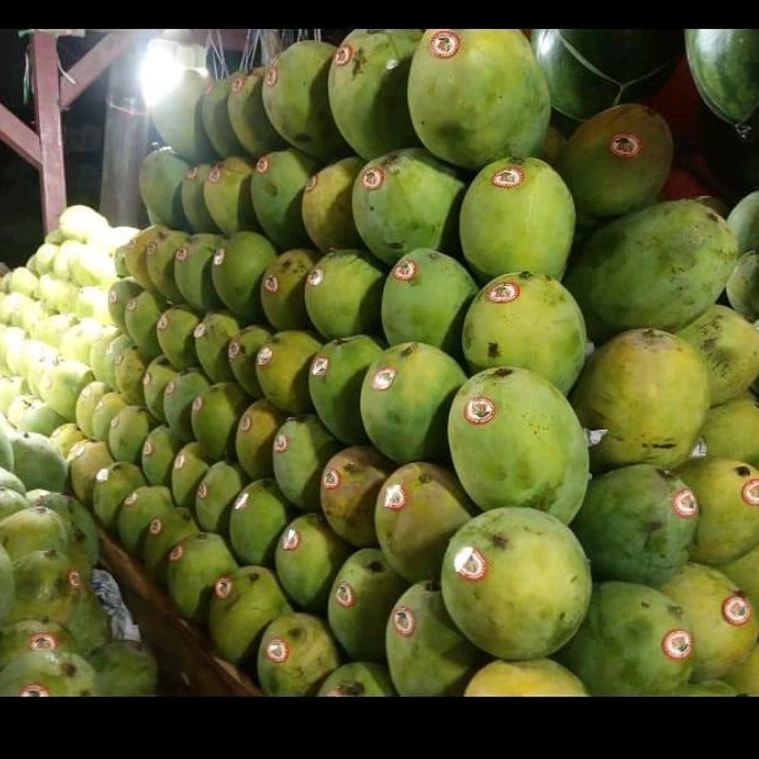 

Mangga hrumanis spr