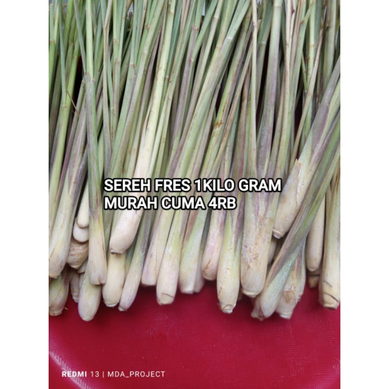 

sereh murah/1kg