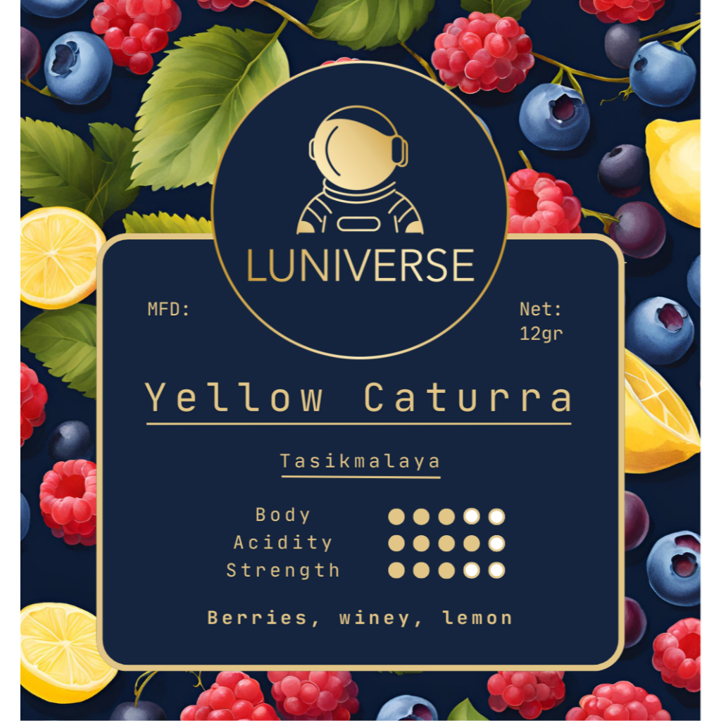 

Luniverse - Yellow Caturra Drip Bag