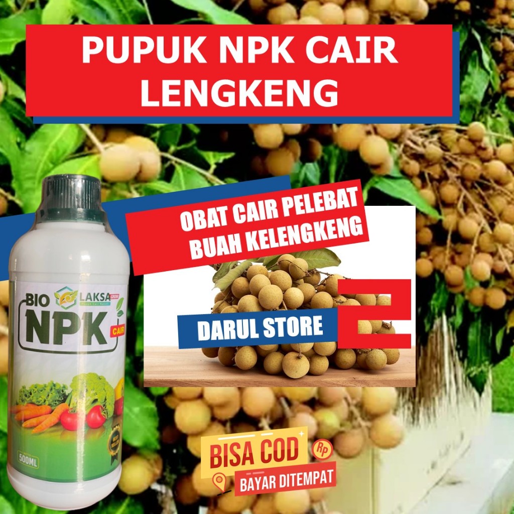 {terlaris} NPK LAKSA Pupuk Pembesar daun Penyubur Tanaman Lengkeng, buah lengkeng, lengkeng Bangkok 