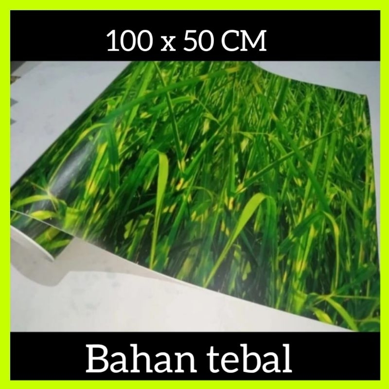 

STIKER CAMO RUMPUT HIJAU UKURAN 100X50 CM TERBARU DAN TERLARIS