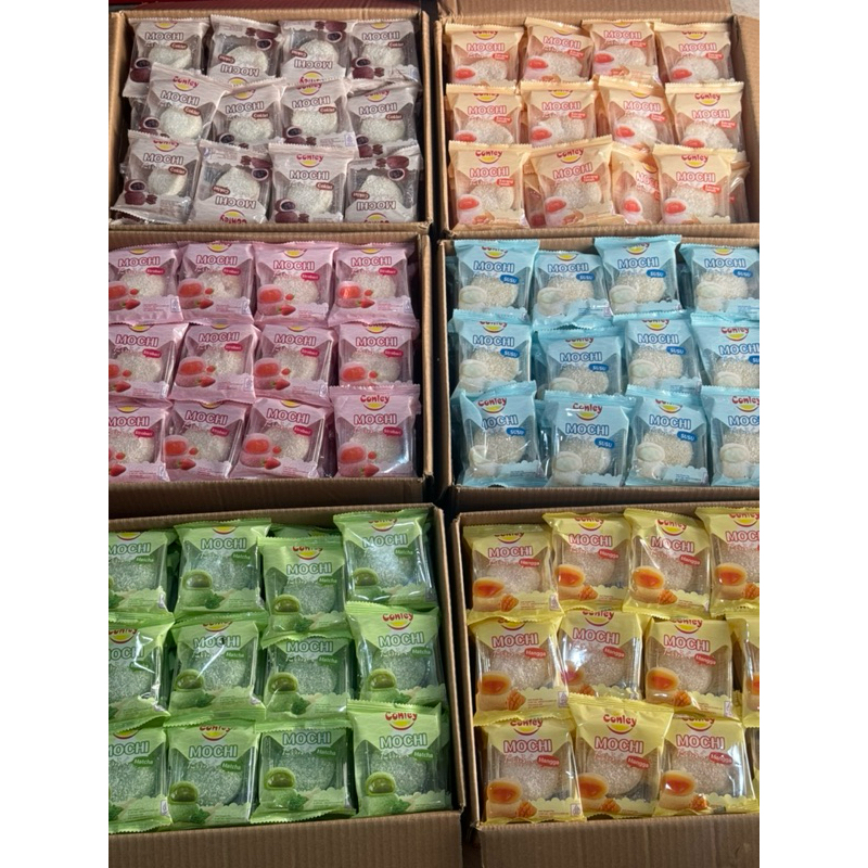 

mochi conley ecer