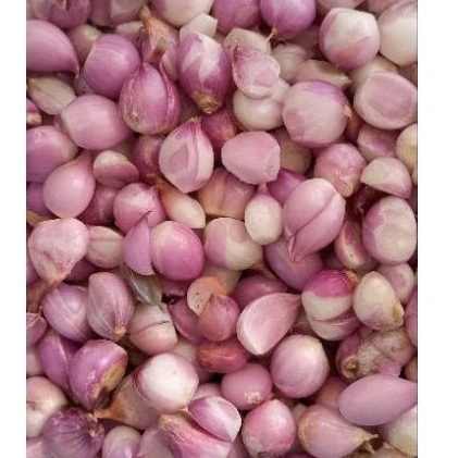 

BAWANG MERAH KUPAS FRESH MURAH. HANYA UNTUK AREA JAWA TIMUR