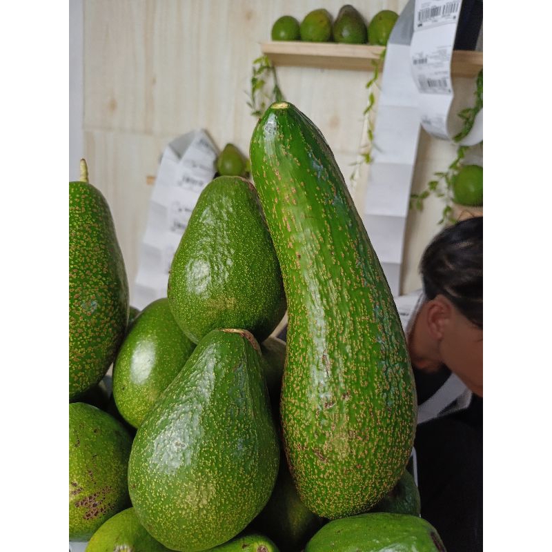 

ALPUKAT PREMIUM BESAR - HANJUANG (PANJANG)