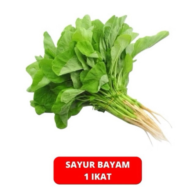 

bayam fresh 1 ikat