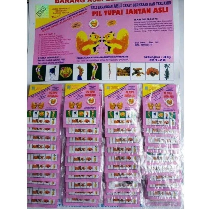 PIL tupai jantan original