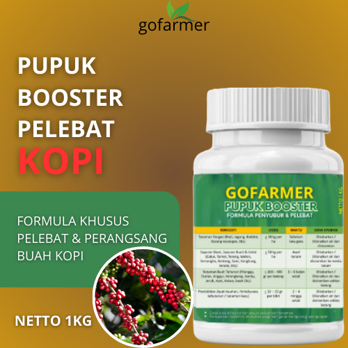 Pupuk Pelebat Buah Kopi Pupuk Booster Buah Kopi Pupuk Organik Cepat Berbuah Lebat Kopi, Pupuk Kopi P