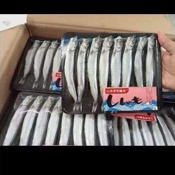 

shisamo telur stiker premium ikan cipung bertelur untuk mpasi