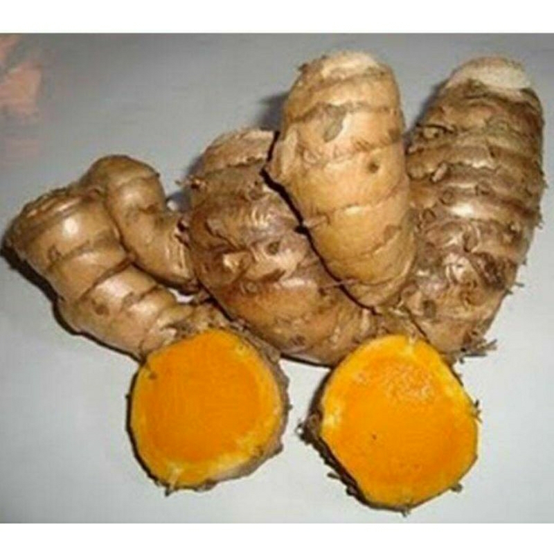 

PROMO HERBAL ALAMI TEMULAWAK UNTUK KESEHATAN 250 GR _1KG