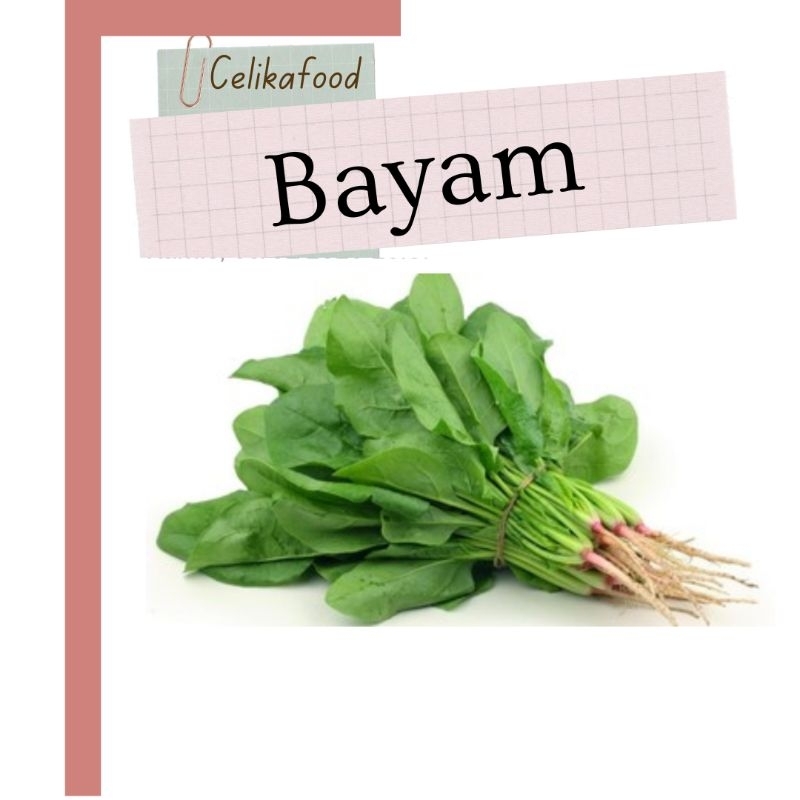 

Sayur Bayam Bayem 1 Ikat Bayam Sayuran Fresh Segar