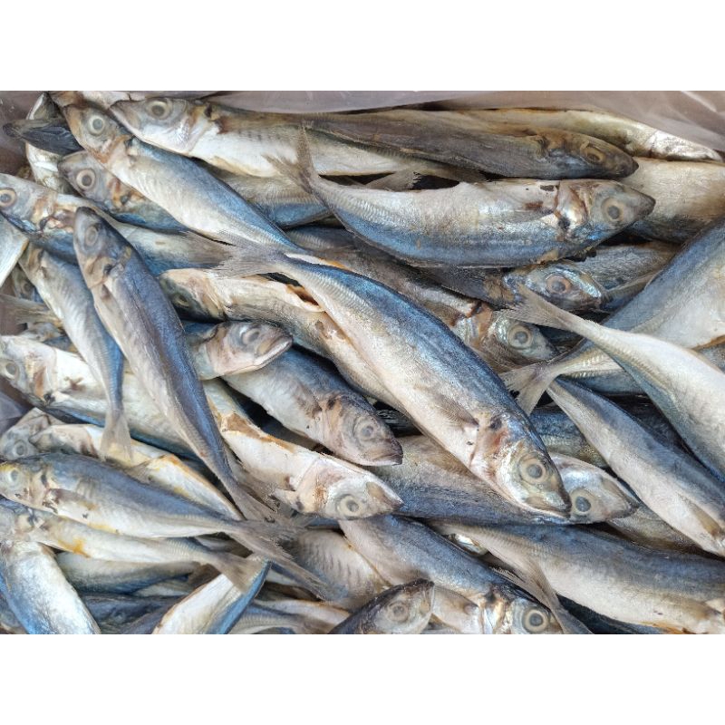 

ikan asin,gereh asin pedo,ikan klotok layang k1,k2 super 1kg