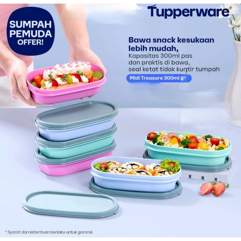Tempat Bontot Tupperware 300ml Harga Untuk 1pcs