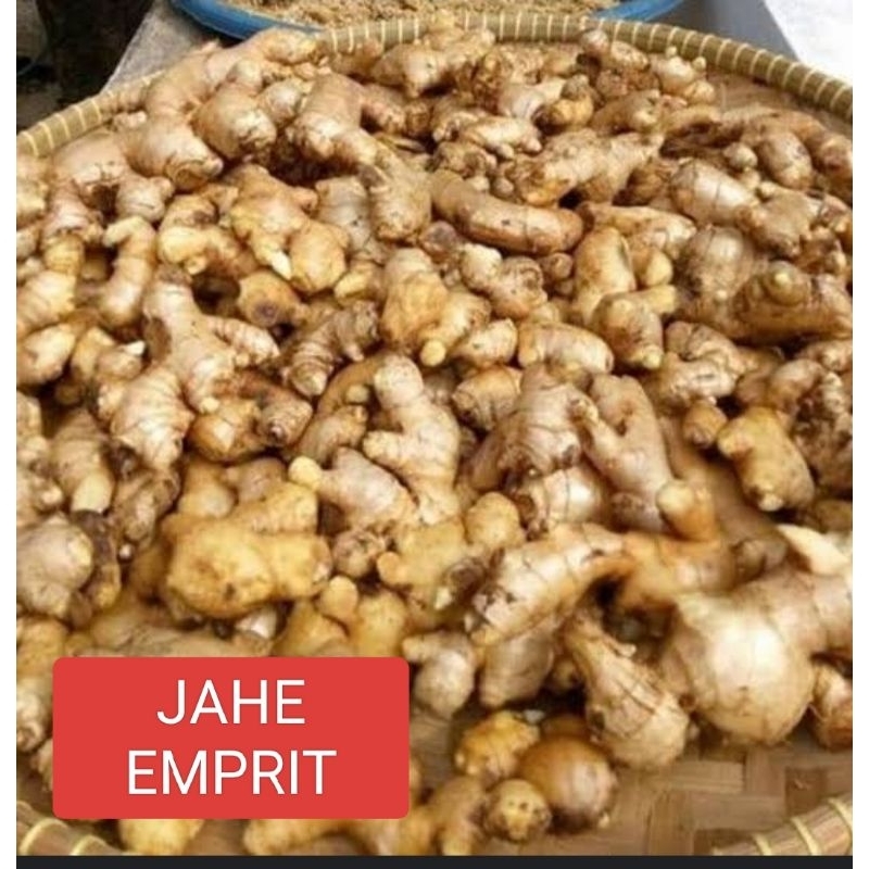 

JAHE EMPRIT PER 250 GRAM