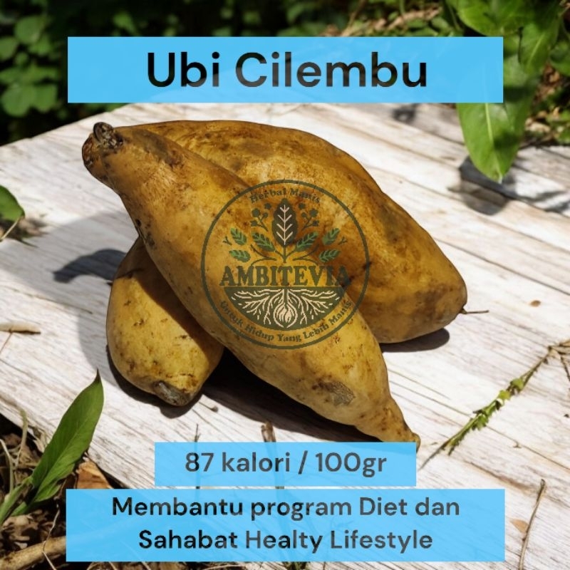 

Ubi Cilembu untuk Oven dan Kukus