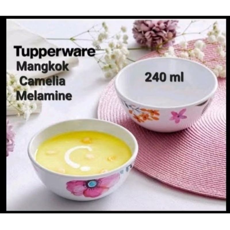 Tupperware Melamine Camelia set
