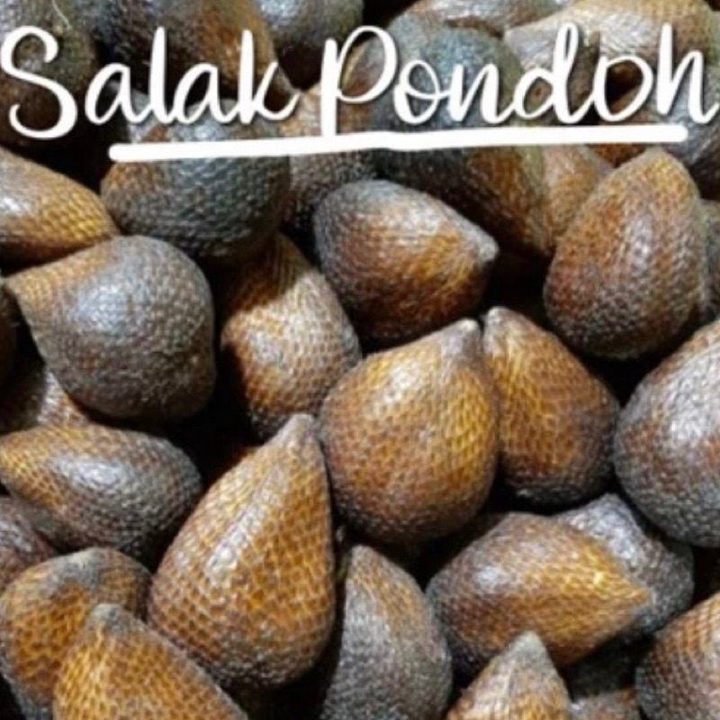 

PROMO Salak Pondoh Manis Fresh 1kg Bogor