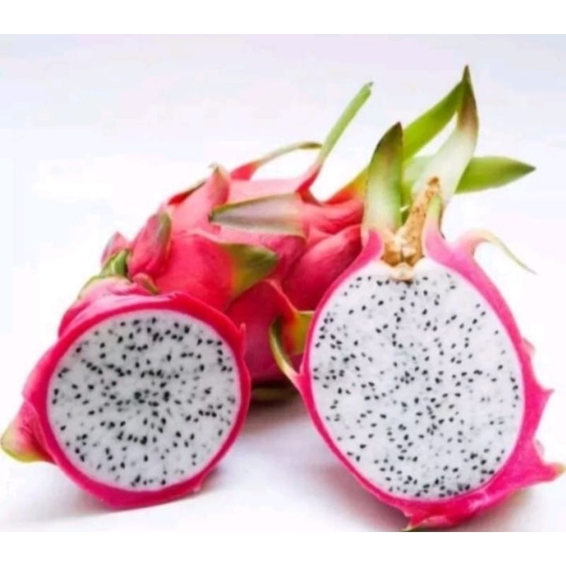 

Buah naga putih white per 1 kg buah