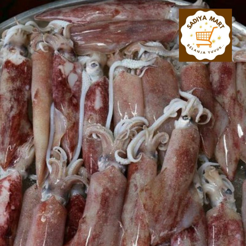 

Cumi karet besar fresh 500 gram