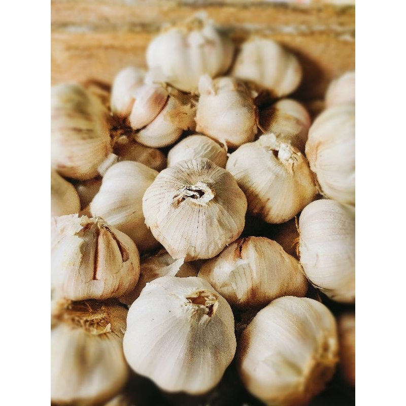 

Bawang Putih Honan / Bawang Putih Sinco 500 gram