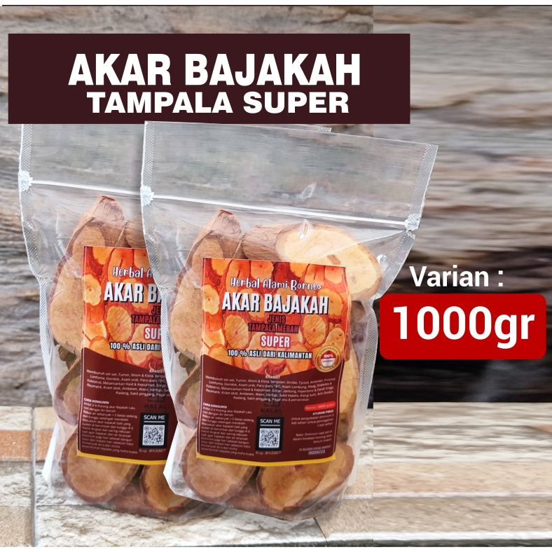 

AKAR BAJAKAH TAMPALA SUPER (1 KG) ASLI KALIMANTAN 100% ORIGINAL
