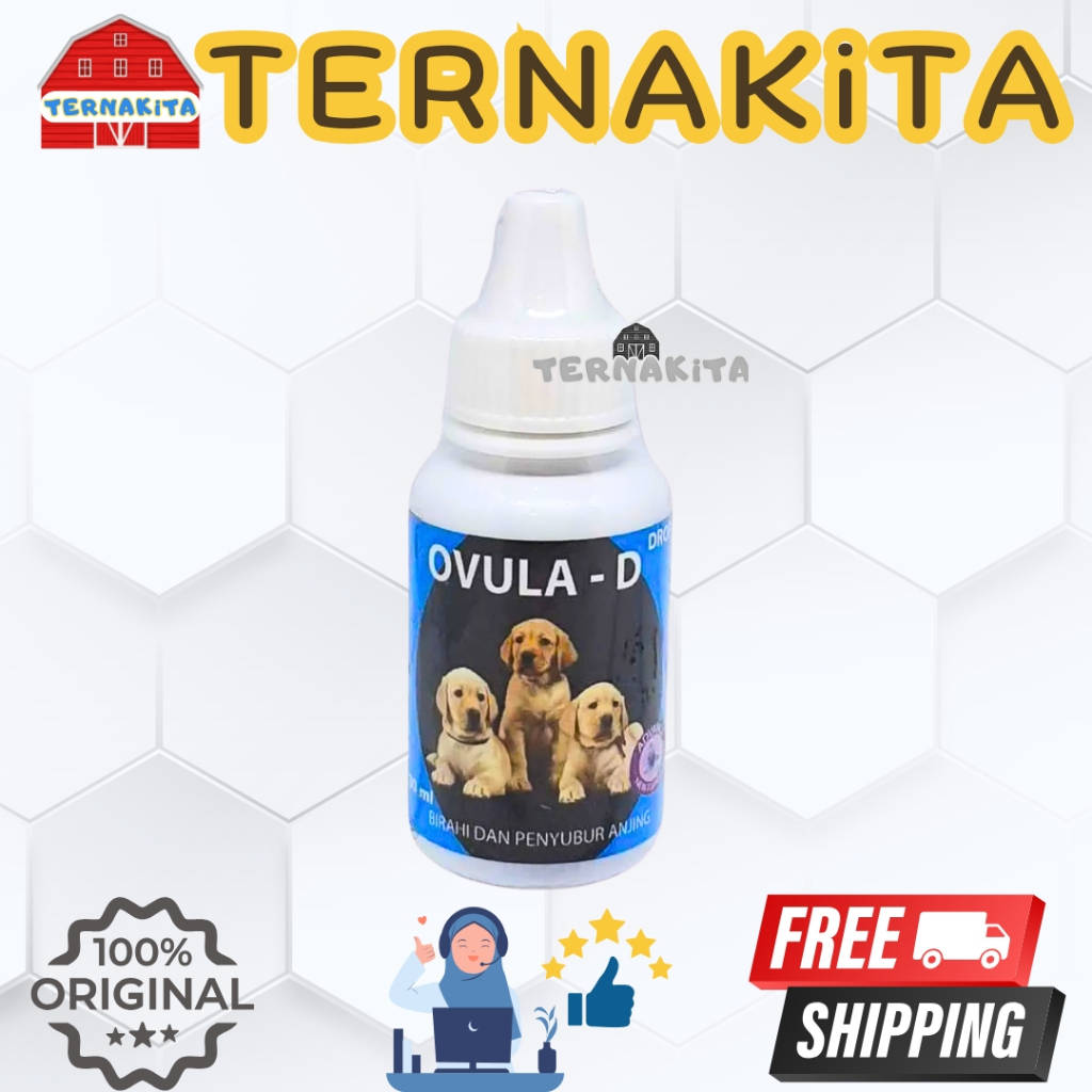 OVULA D Anjing - Obat Pemacu Birahi Anjing Betina Penyubur Reproduksi