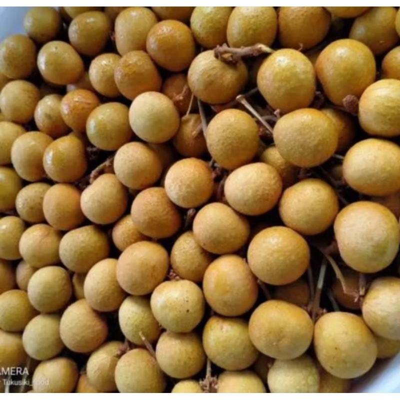 

BUAH KELENGKENG LOKAL SIZE CAMPUR SARI KEMASAN 500gr - 1000gr